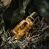 Immortelle oil - Image 2