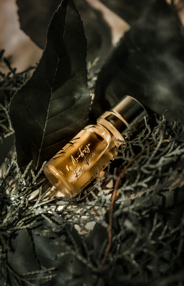 Immortelle oil - Image 2